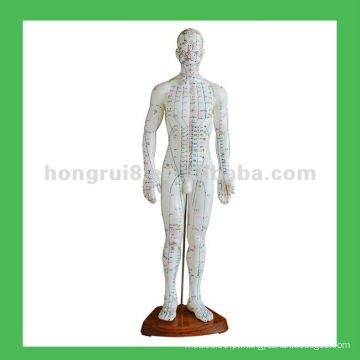 Body de acupuntura humano chinês Pontos 50cm Modelo de acupuntura